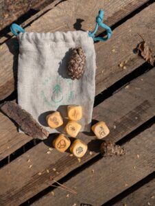 Leśne Kości Uważności/ Forest Mindfulness Dice