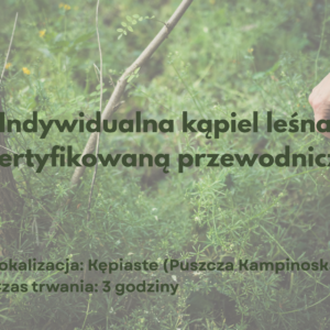 Indywidualna kąpiel leśna