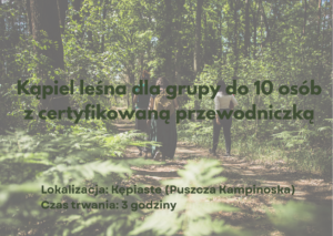 Grupowa kąpiel leśna do 10 osób