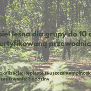 Grupowa kąpiel leśna do 10 osób